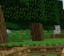 Apiary