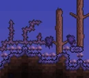 Vile Mushroom