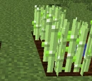 Tutorial/Crops