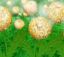 Sesame Seed Dumplions