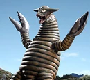 Sadora