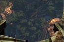 Tree of Life.jpg