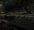 Dark Dimension