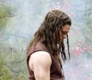 The Vikings