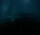 Car Accident