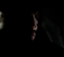 Vampire and Hybrid Bloodline