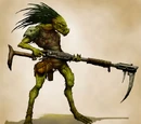 Kroot