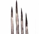 Lightning Claw