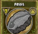 Fossil