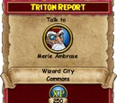 Triton Report