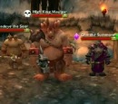 Instance:Repaire de Gruul