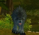 Vilebranch Wolf Pup