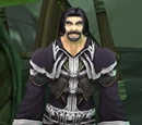 Andrion Darkspinner