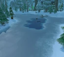 Iceflow Lake