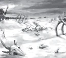 Dragonblight