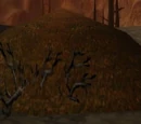 Volcanic Ash