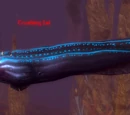 Crushing Eel