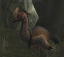 Foreststrider