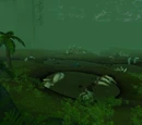 Lakkari Tar Pits
