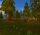 Hinterlands