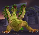 Hetaera