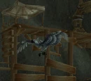 Ol' Beaky