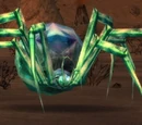 Glassweb Spider