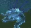 Squiddic