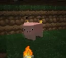 Pigu