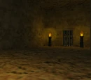Beneath the Well