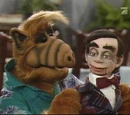 I'm Your Puppet