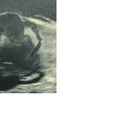 Rock Aliens (Apollo 18)