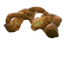 Biomass