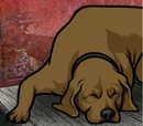 Annie.png