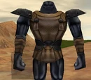 Amploth Raider
