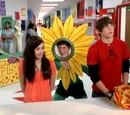 Flower Day