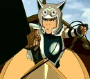 Sokka's weapons