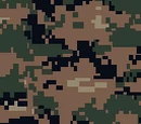 Marine Camouflage