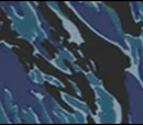 Blue Camouflage