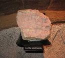 Lutita