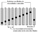 Viscosidad cinemática