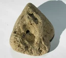 Pumita