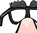 Funny-Face Glasses