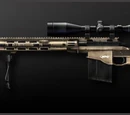 MSR