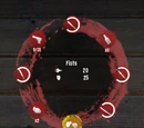 Weapon Parameters and Modification
