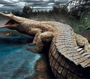 Sarcosuchus