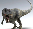 Tyrannosaurus