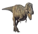 Tarbosaurus