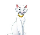 Duchess