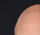 Patrick Stewart